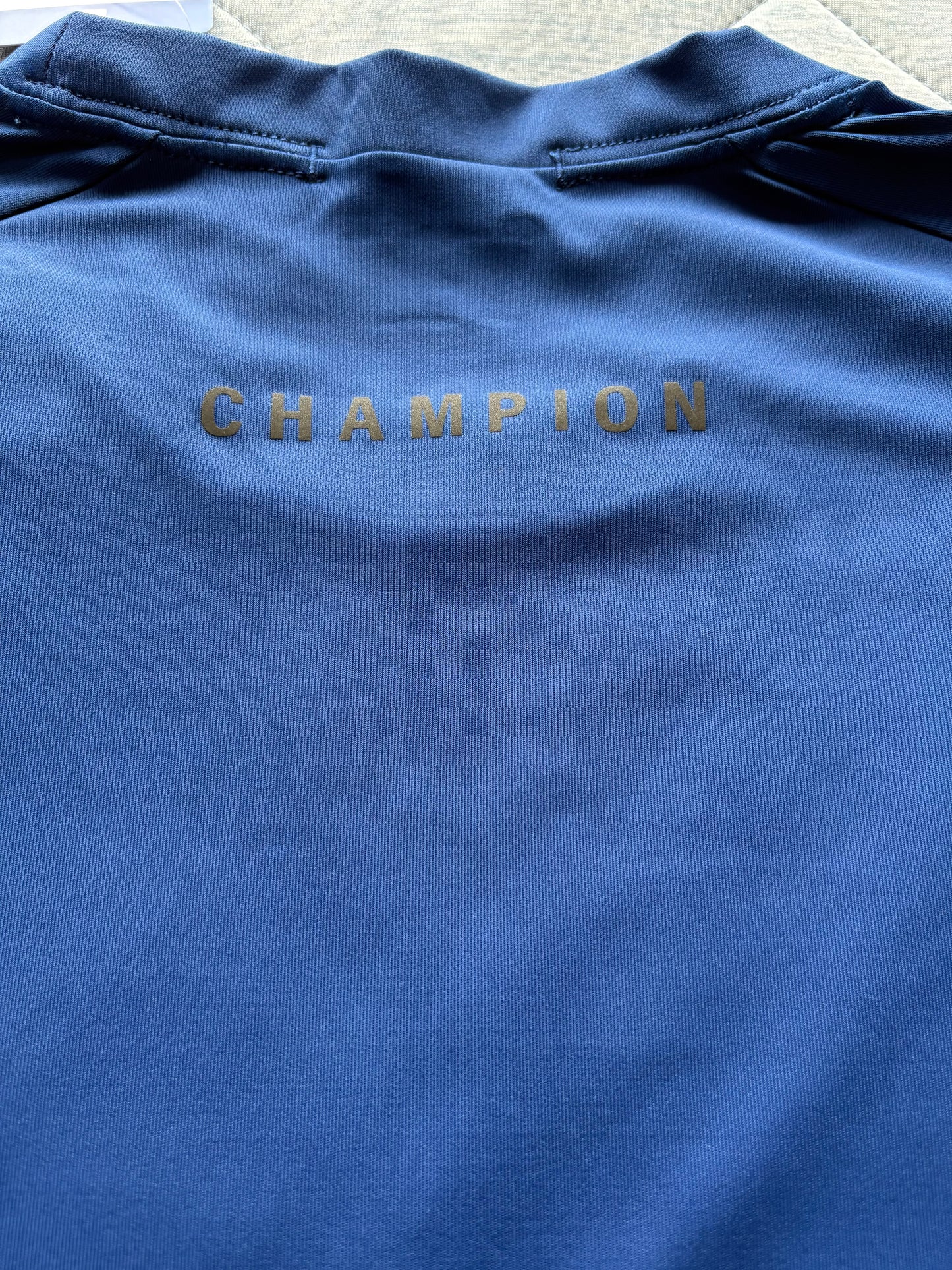 Champion Short Sleeve T-Shirt Colour Jewel Sapphire Size L