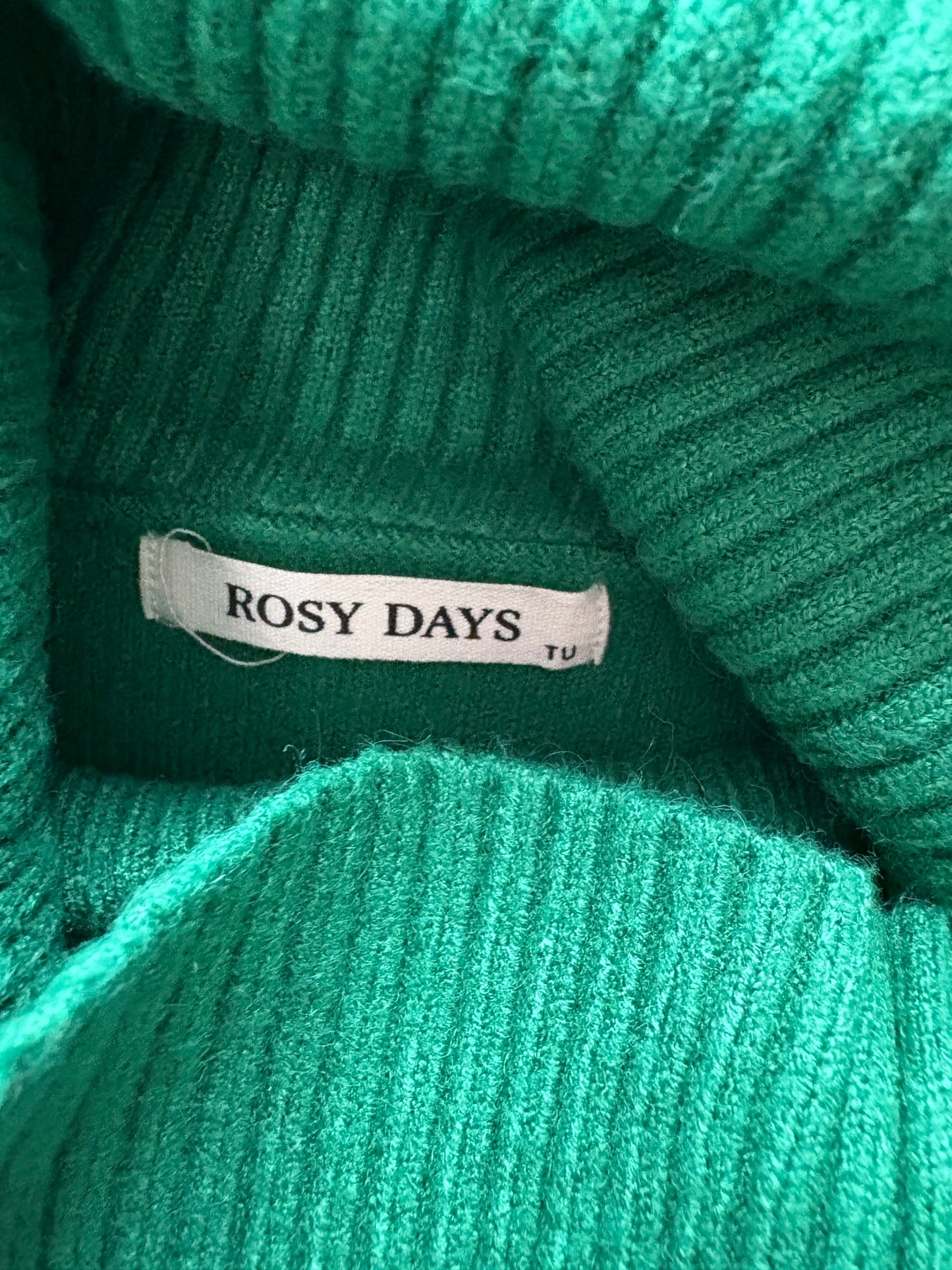 Rosy Days Roll Neck Jumper Dress Colour Green One Size 12-22