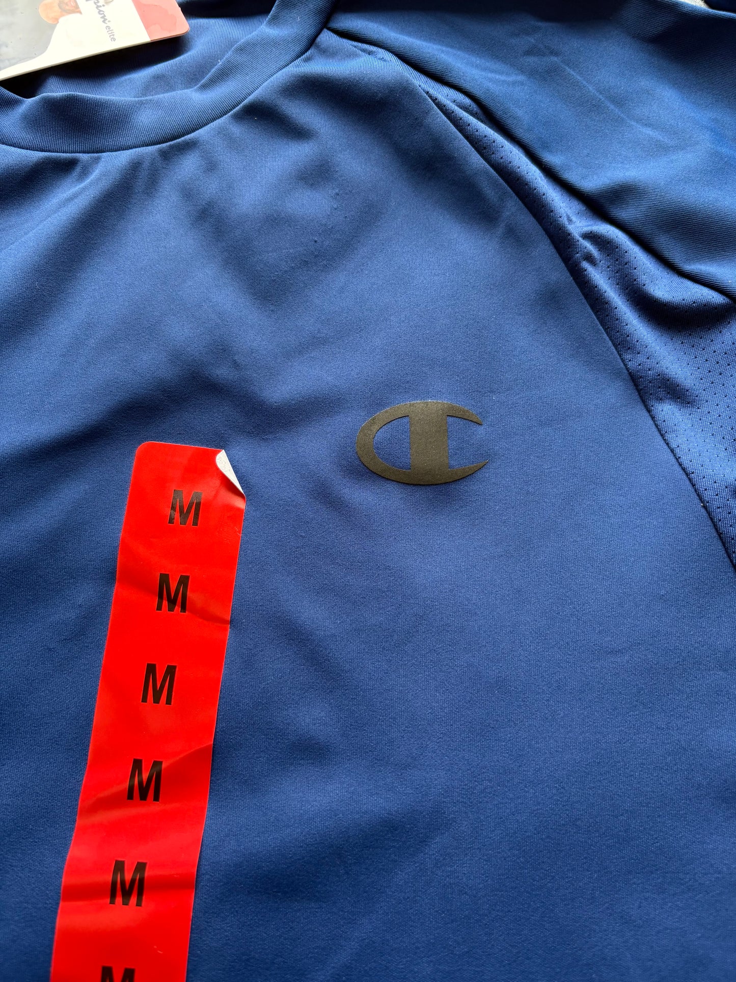 Champion Short Sleeve T-Shirt Colour Jewel Sapphire Size M